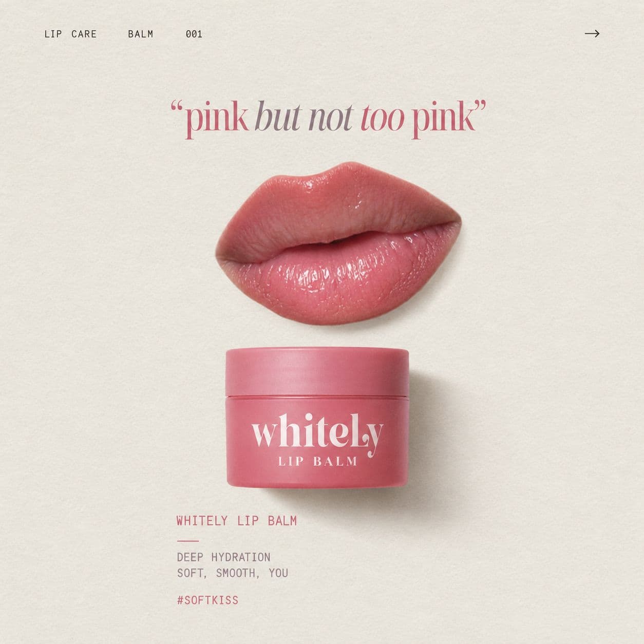 Lip Mask